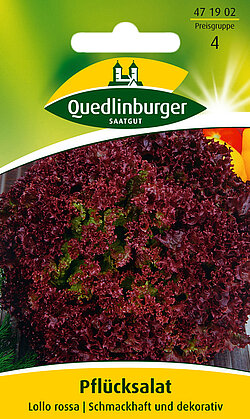 Pflücksalat Lollo rossa Pflücksalat Lollo rossa