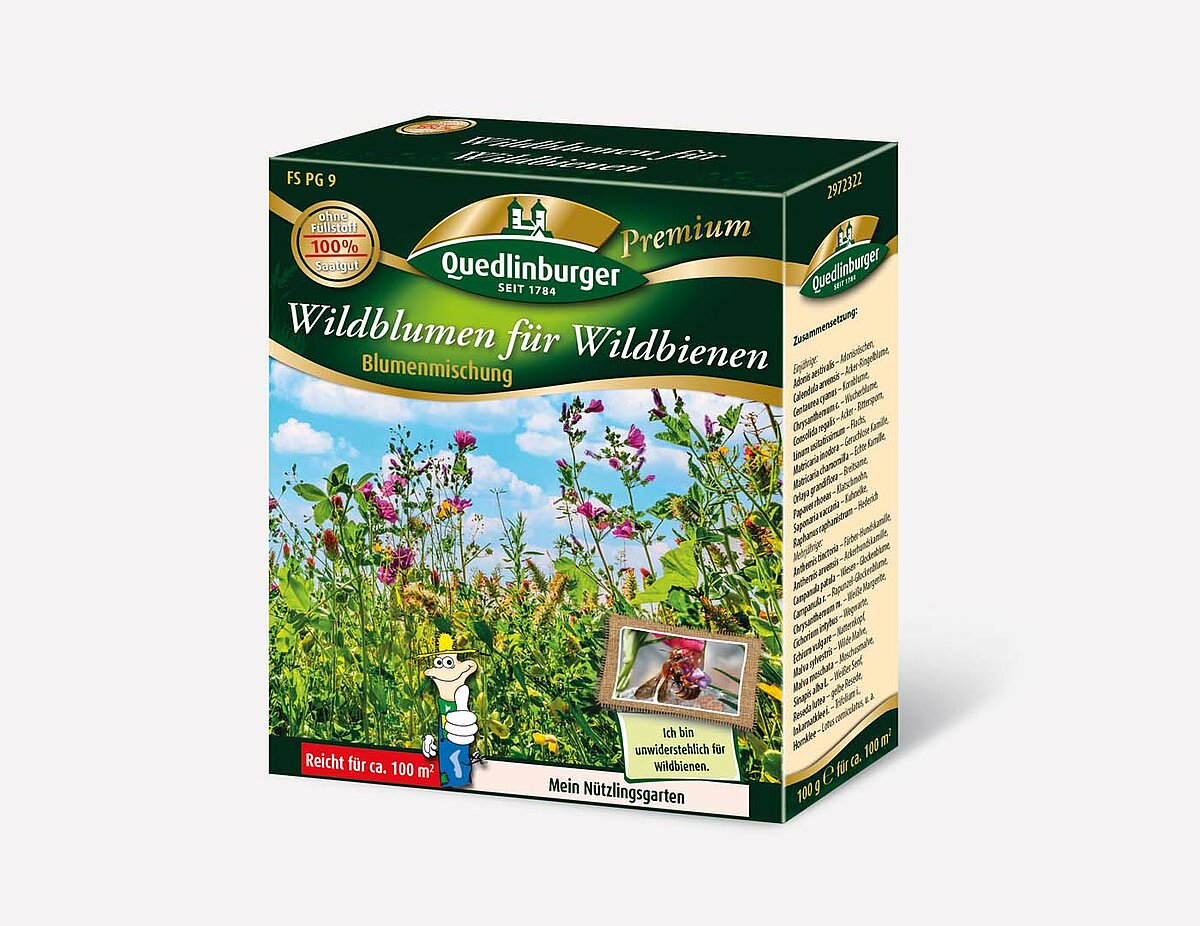 aloe vera blatt kaufen wo Aloe vera Blatt frisch frisch geliefert main image 0