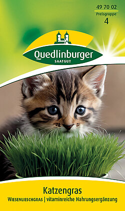 Katzengras Wiesenlieschgras