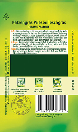 Katzengras Wiesenlieschgras