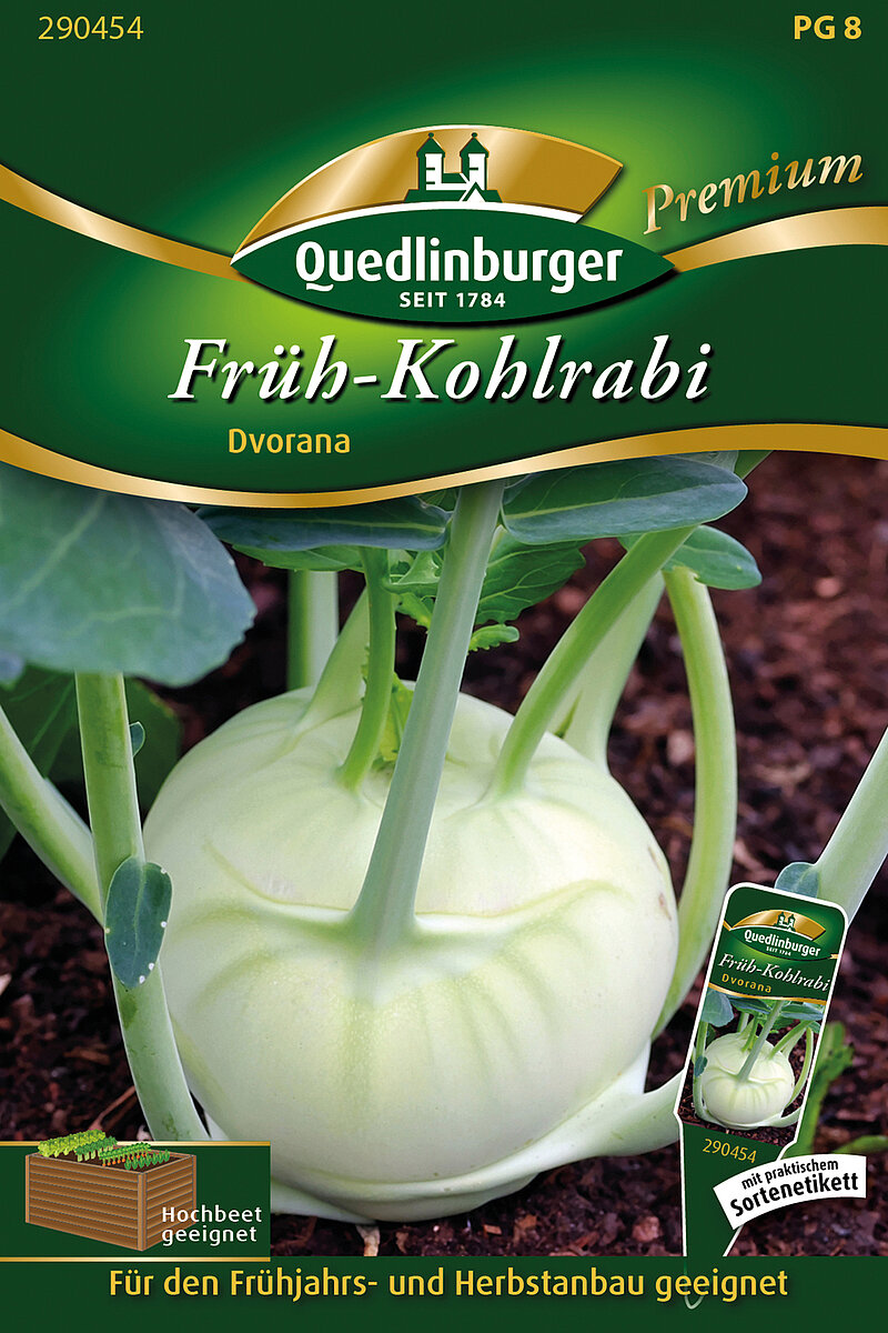 saatgut nordost BIO Saatgut Mexikanische Honigtomate – Biogartenladen