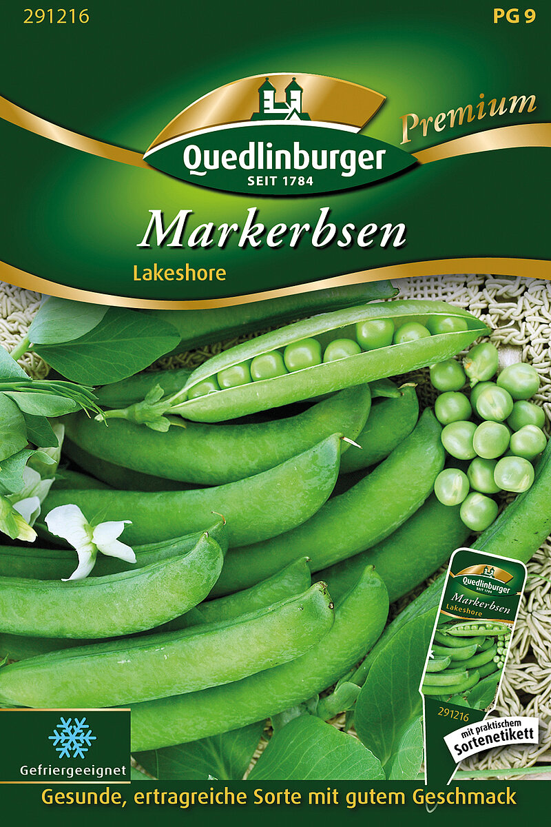 Markerbsen Lakeshore - Vertriebsgesellschaft Quedlinburger Saatgut mbH