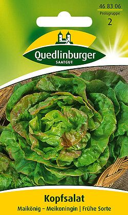 Kopfsalat Maikönig – Meikoninging Kopfsalat Maikönig – Meikoninging
