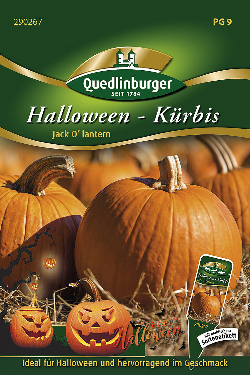 Halloween - Krbis Jack O'lantern - Vertriebsgesellschaft Quedlinburger  Saatgut mbH